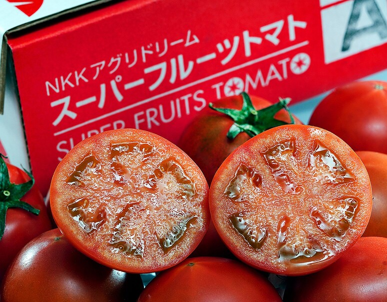 糖度9度基準「スーパーフルーツトマト」茨城県産 2箱（1箱 約800g 7