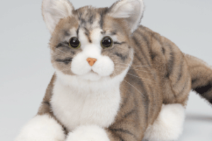 なでなでねこちゃんEX（2023.4発売） | TRENDMASTER