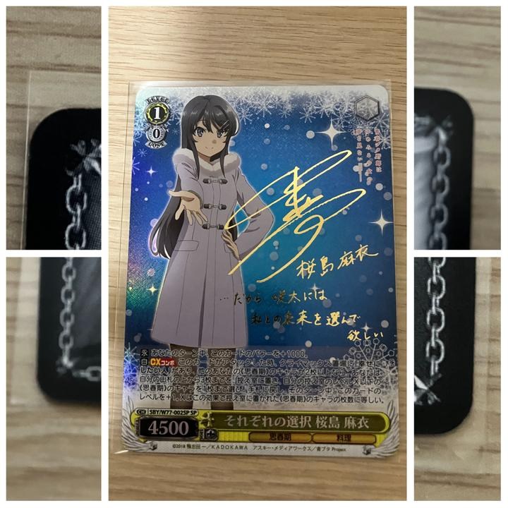 樂淘代購心得(6)（ws ヴァイスシュヴァルツかけがえのない存在桜島麻衣