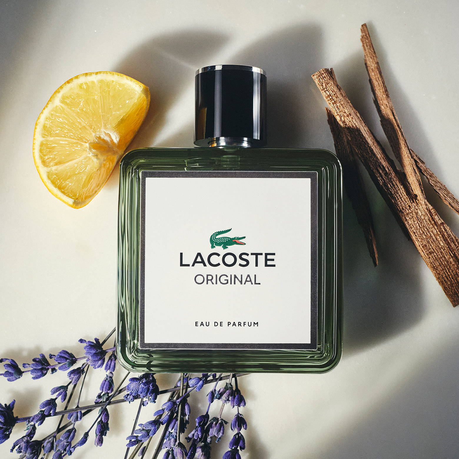 LACOSTE ORIGINAL｜ラコステ オリジナル