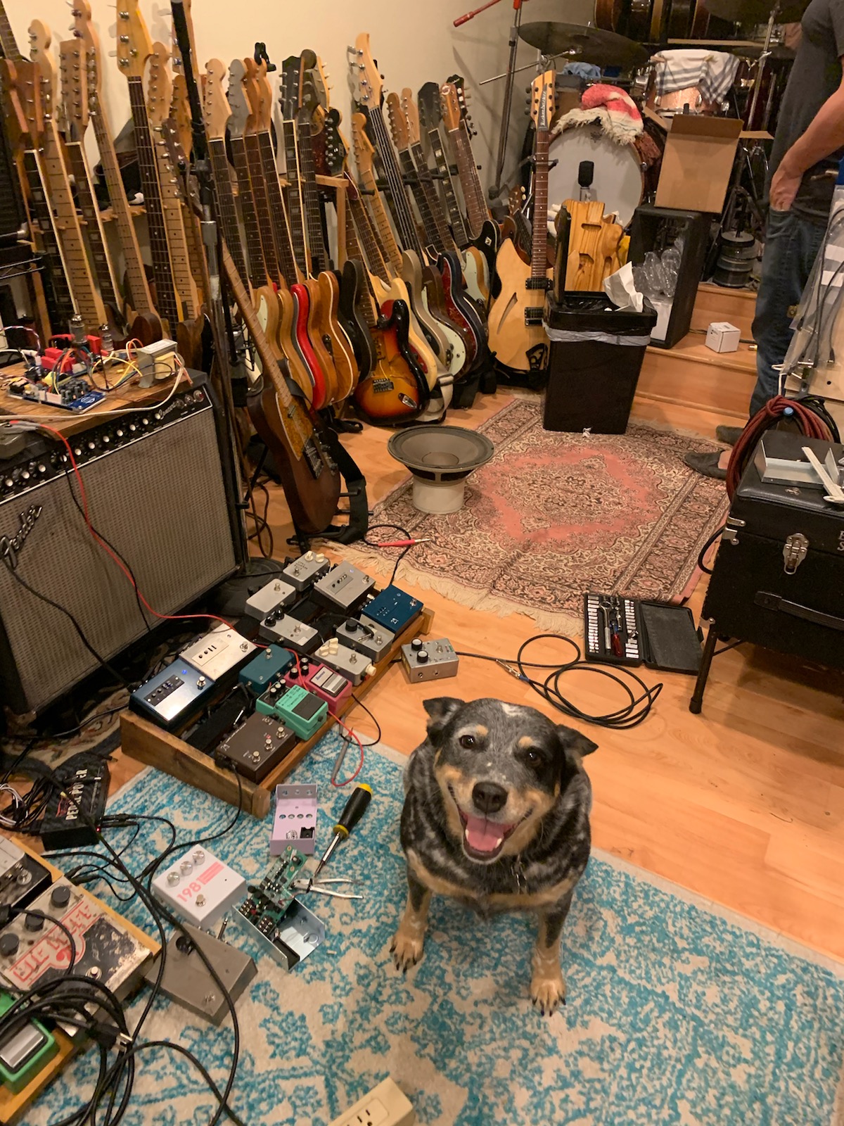 29 Pedals ブランドヒストリー&