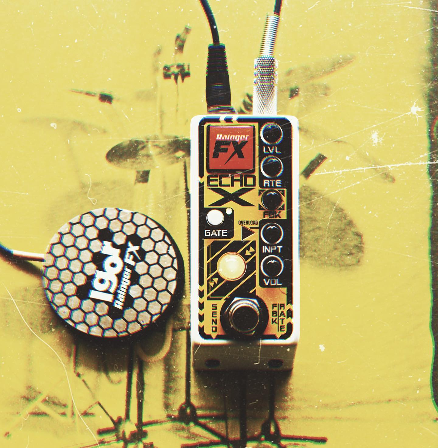 Echo X | Umbrella Company | アンブレラカンパニー