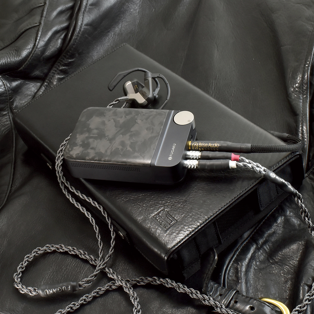 E582：Brise Audio FUGAKUオーディオシステム収納ケース | バンナイズ