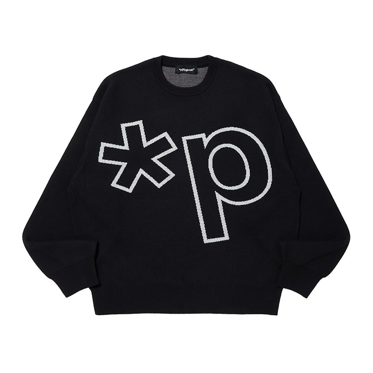 p(R)ojectR® Logo Half Zip Sweat Lサイズ p(R)ojectRReflective Logo