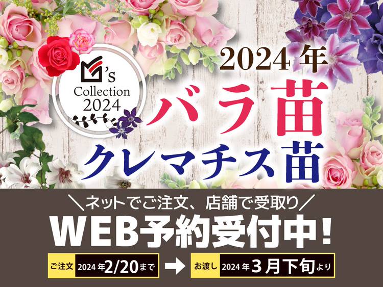 Mixed media feed | ムサシ長岡店 | LINE Official Account