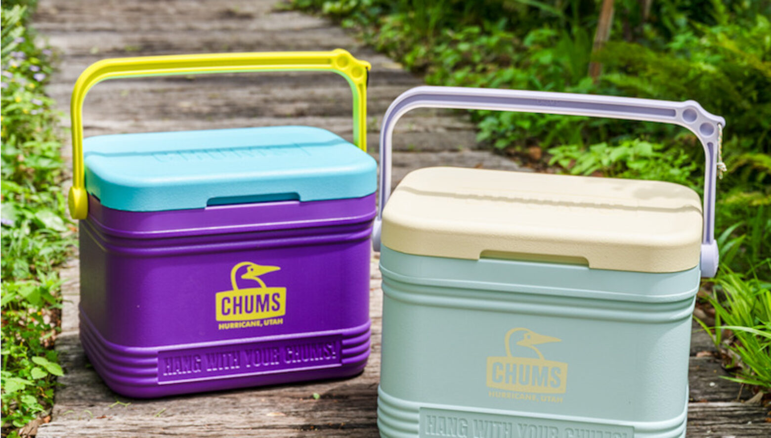チャムスより、レトロポップな人気クーラーボックスの限定新色