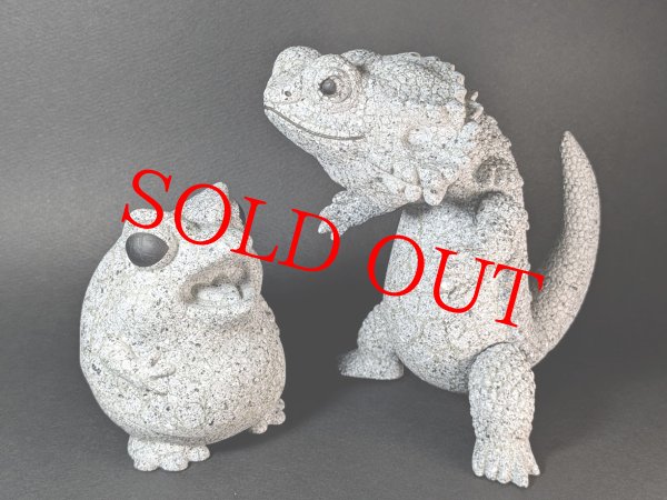 P@inter Net フトアゴン ストーンクラック(蓄光)