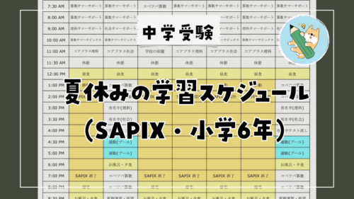 中学受験】社会「データバンク」学習法(6年/SAPIX) | ポチたま中学受験