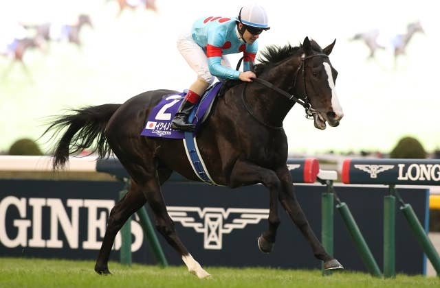 イクイノックスとジャパンCの「世界一」、関係者が喜びと感謝の