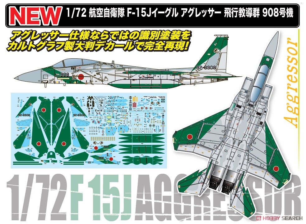 航空自衛隊 F-15Jイーグル アグレッサー 飛行教導群 908号機