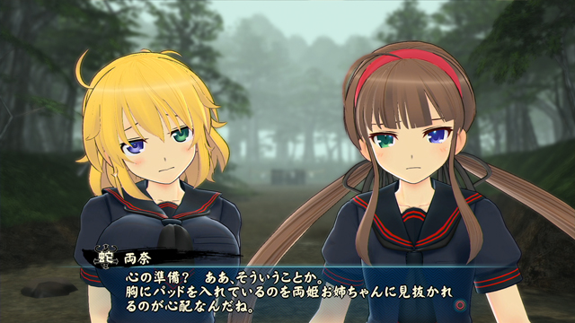 画像ギャラリー No.005 | 「閃乱カグラ ESTIVAL VERSUS -少女達の選択