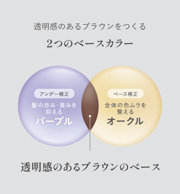 コタカラー ニュート グレイ | コタ株式会社