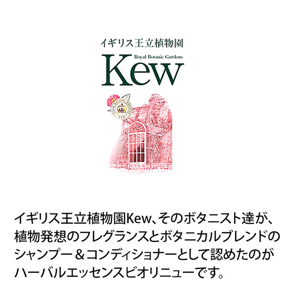 ビオリニュー モロッカンオイル コンディショナー / ハーバル