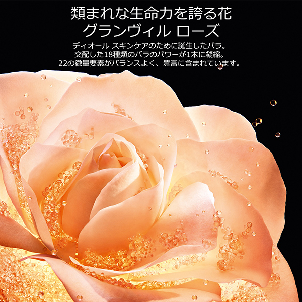 プレステージ ラ クレーム N(リフィル) / ディオール(フェイスクリーム