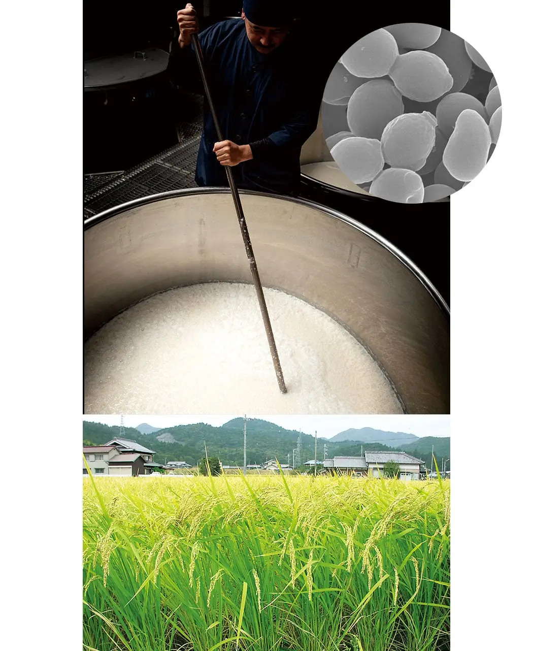 通販生活®日本酒エキスローション『ゆきあかり』｜【公式】カタログ