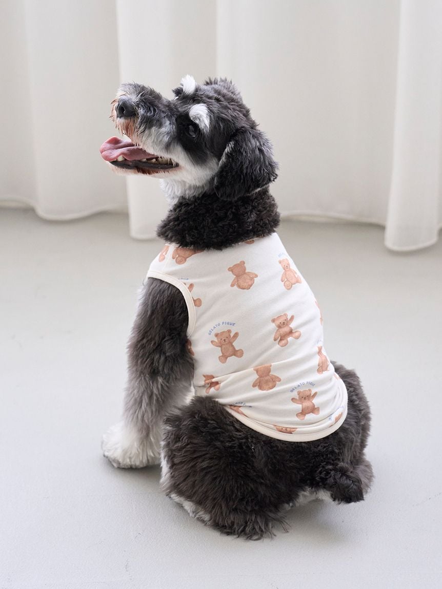 gelato pique（ジェラートピケ）【CAT&DOG】【販路限定商品】ベア柄