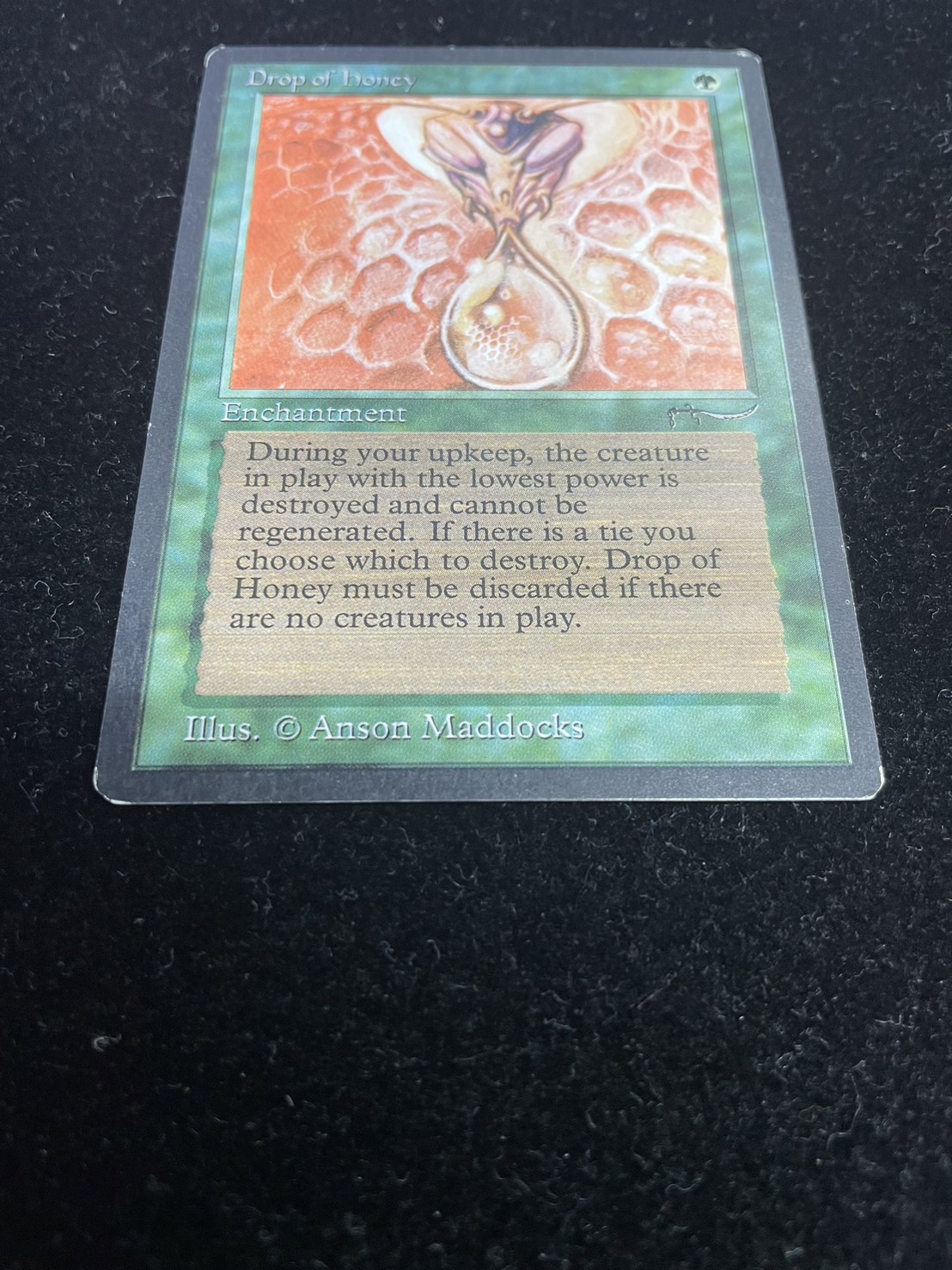 EX]Drop of Honey《英語》【ARN】#273