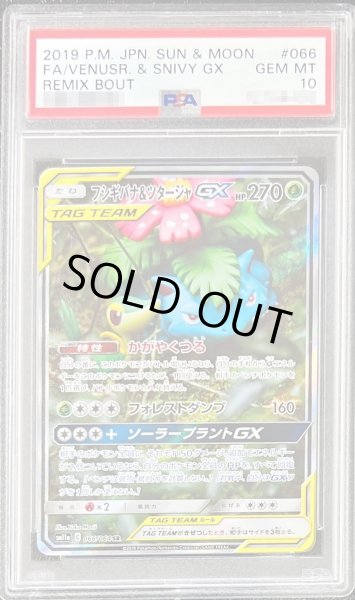 PSA10鑑定済〕フシギバナ＆ツタージャGX(SA)【SR】{066/064}