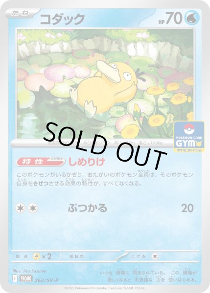 コダック【P】{262/SV-P}