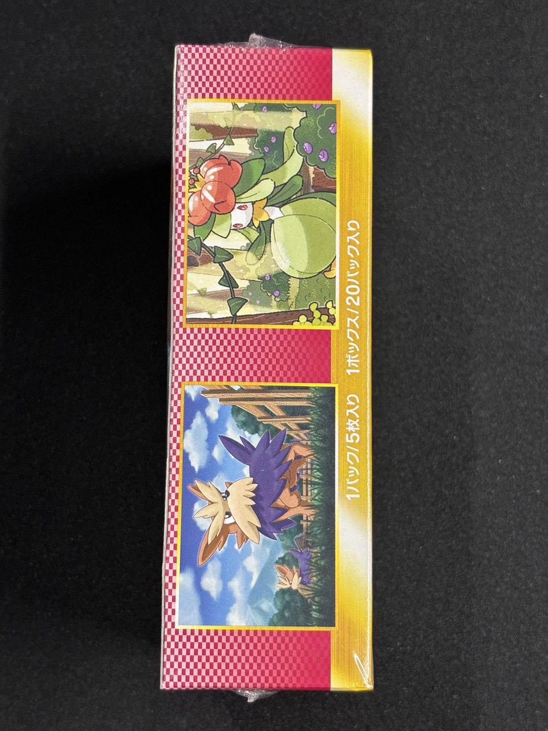 拡張パック第6弾『コールドフレア』(BW6)【未開封BOX】{-}