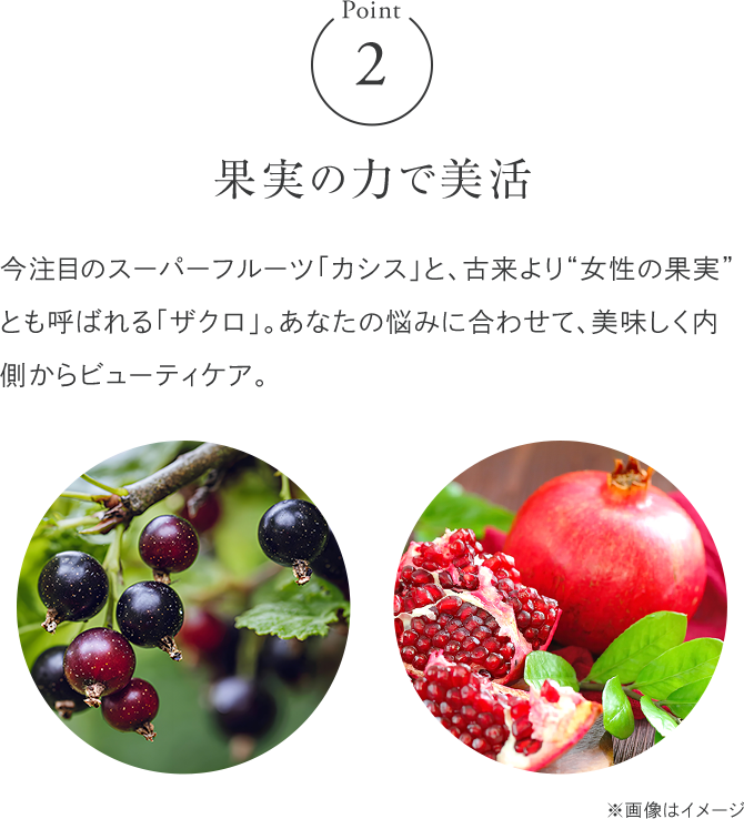 シーボン 彩色健美│【公式】シーボン（C'BON）ホームケア（化粧品）と