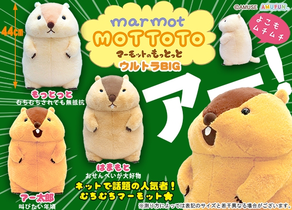≪2月の新商品≫マーモットのもっとっと-NEW ITEM！｜アミューズ最新情報