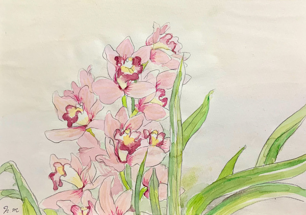 ハナミズキ」 by 水森 なる｜Artmeter｜暮らしを彩るアートが、きっと