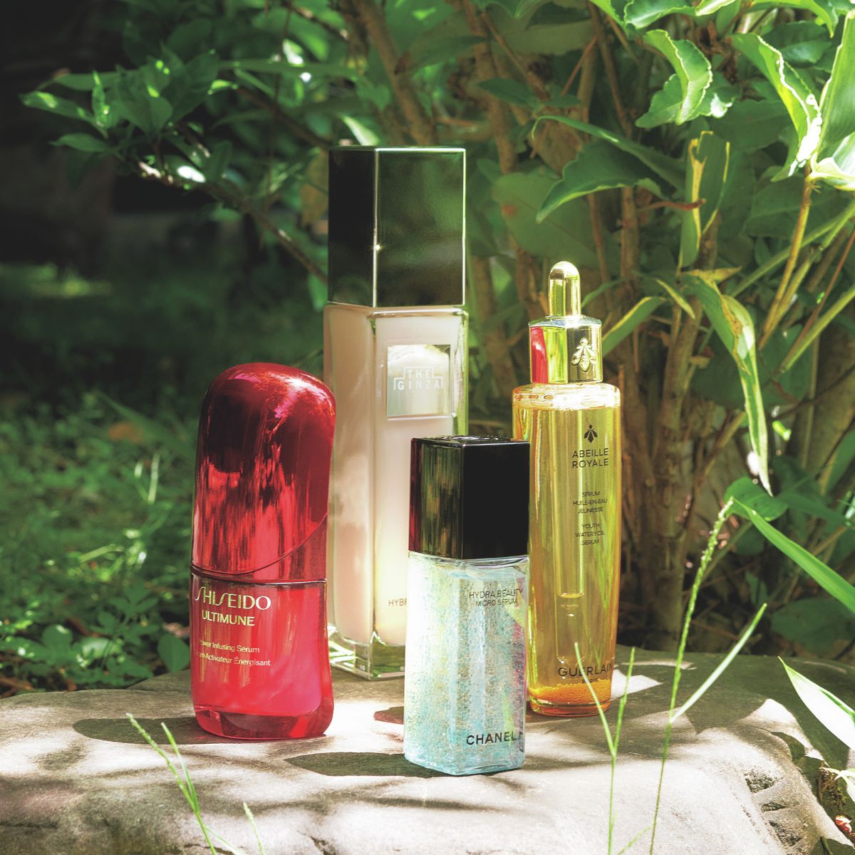 ゲラン］アベイユ ロイヤル ウォータリー オイル セロム 発売日［2025