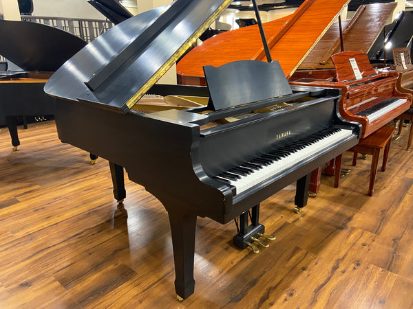 img-4036_be37fd1f-9f51-4a5f-