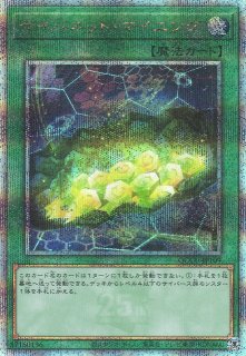 遊戯】M∀LICE デッキパーツ - C-labo OnlineShop