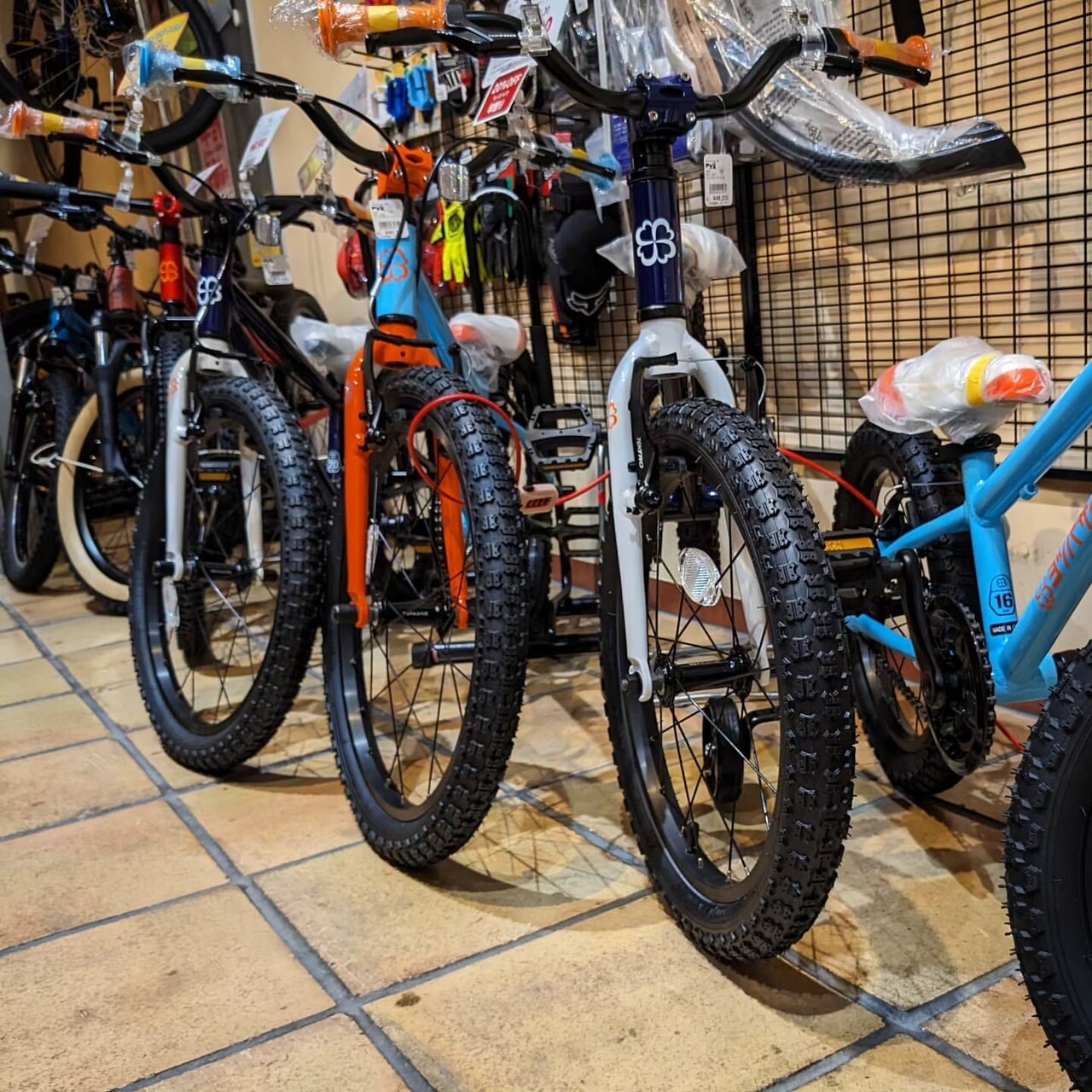 MARIN BIKES（マリン・バイクス） | GOOD OPEN AIRS myX