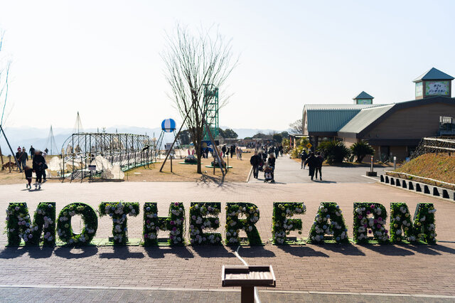 レポ】ワープポイントで気がついたらマザー牧場に？！『原神