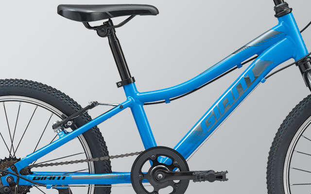 2020 GIANT Bicycles | XTC JR 20 LITE