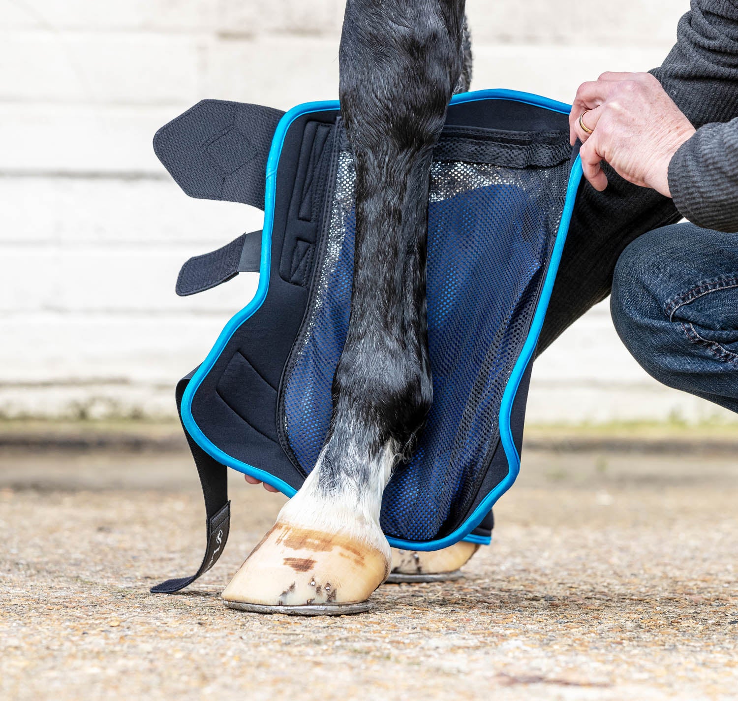 LeMieux® ProIce Freeze Therapy Boots – Dover Saddlery