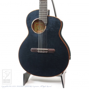 aNueNue aNN-MN14E (Electric Nylon Strings)|ドルフィンギターズ