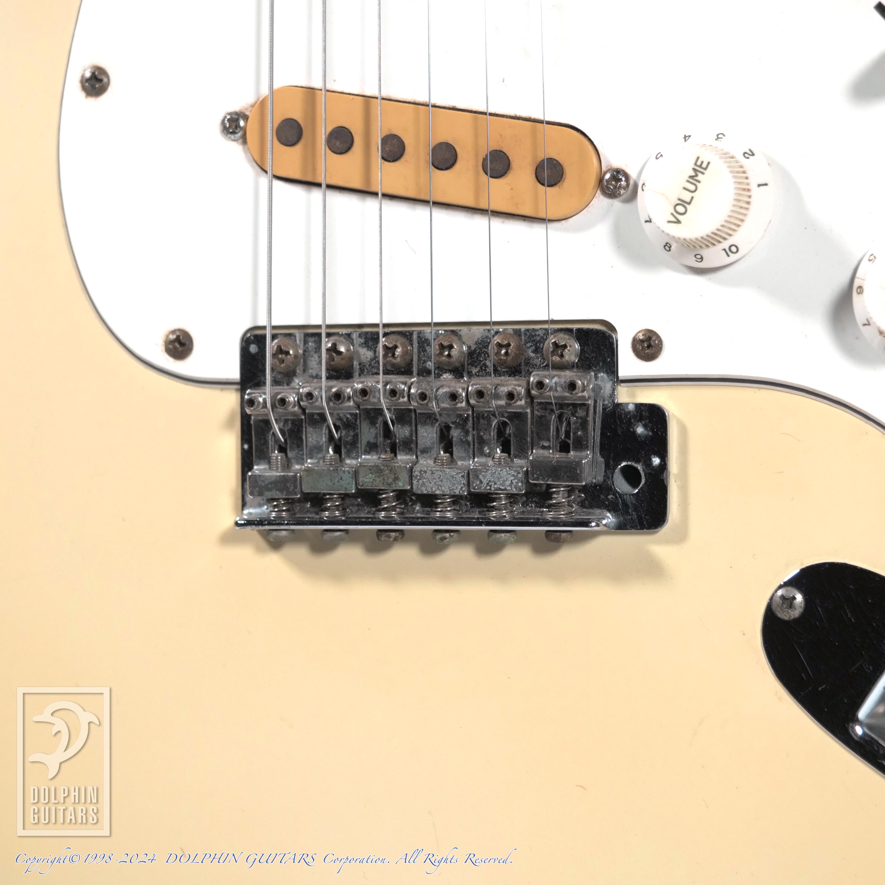 FERNANDES BURNY CUSTOM FST|ドルフィンギターズ