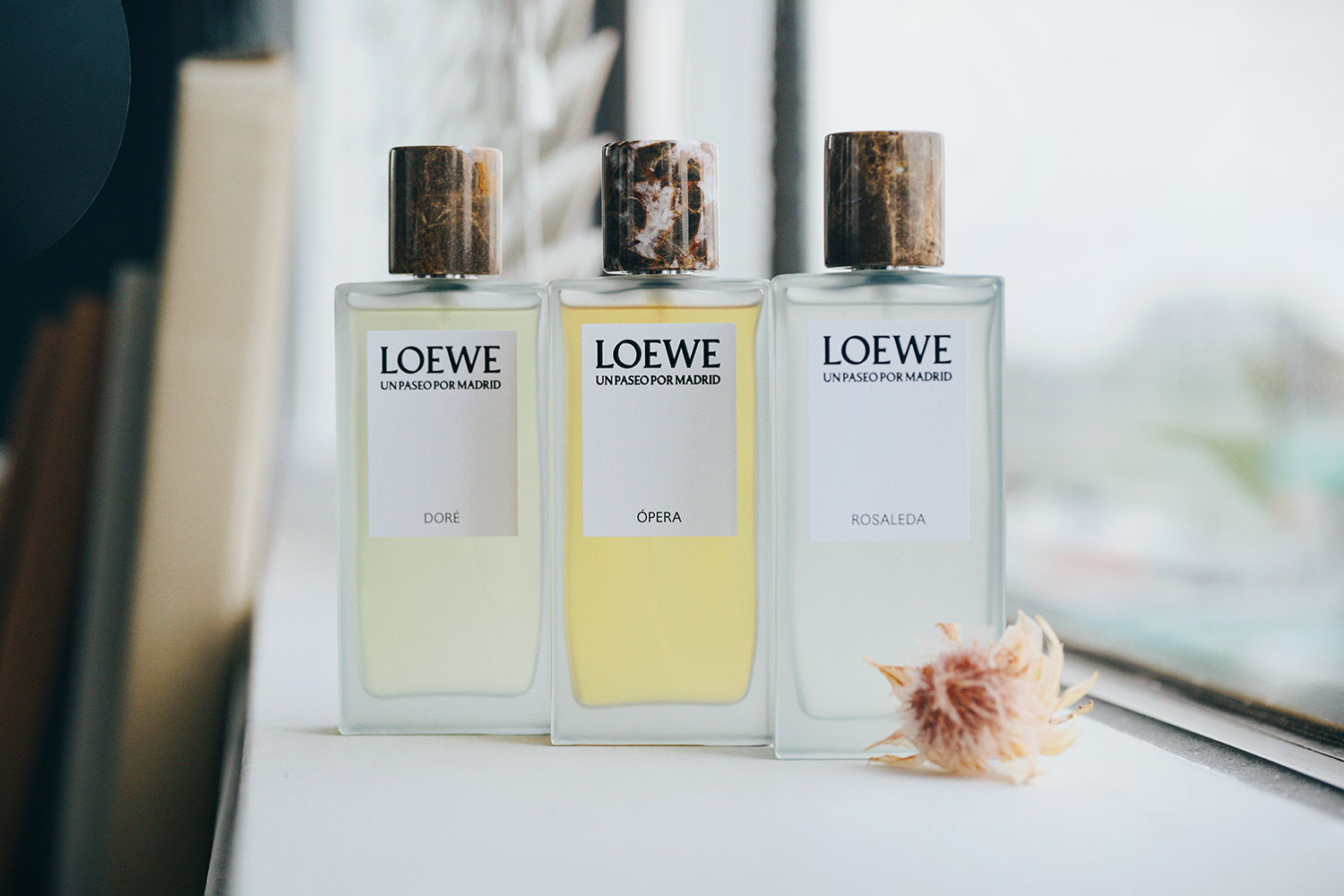 洗練をまとうフレグランスLOEWE Perfumesの魅力を探る – SHINSAIBASHI