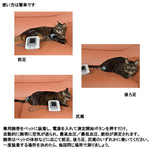 エルデ ペット用血圧計 PES-1700 エルデ 血圧計 | ホームセンター通販