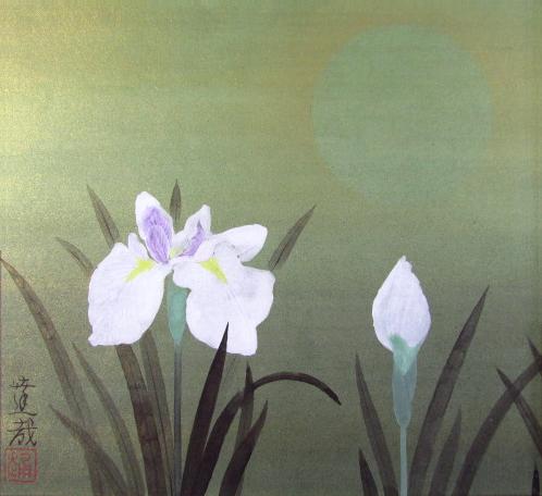 石踊達哉 花菖蒲（日本画3号）