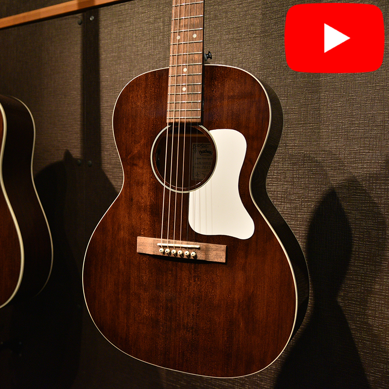 HL-V085SE | Deviser ｜株式会社ディバイザー｜長野県松本市のギター