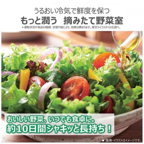 デンキチWeb / 東芝 TOSHIBA 冷蔵庫 508L 6ドア 観音開き VEGETA