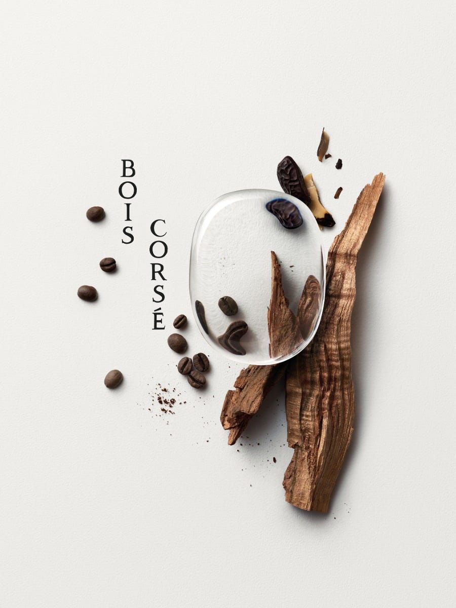 Bois Corsé (ボワコルセ) - オードパルファン | Diptyque Paris