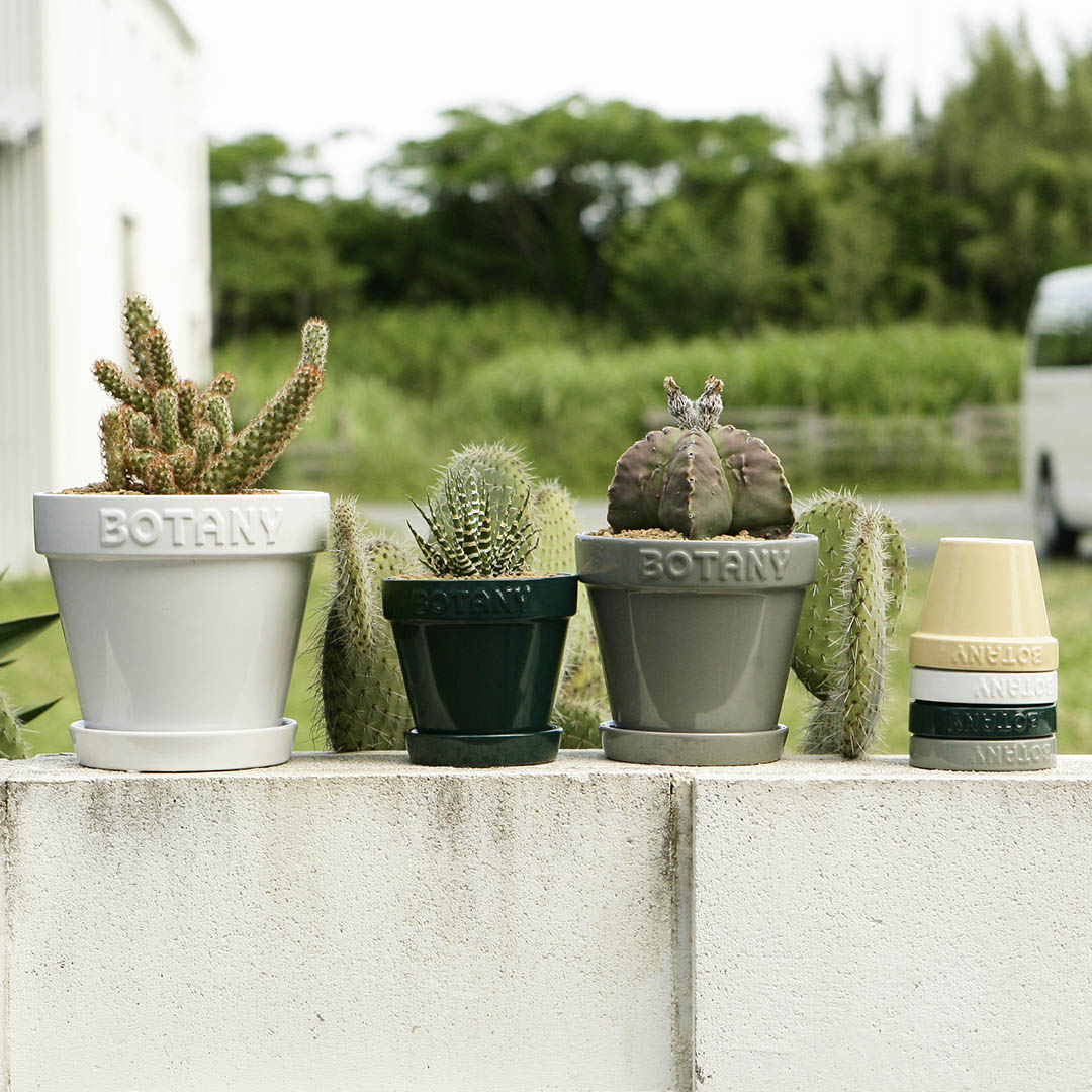 DULTON ONLINE SHOP | BOTANY POT 3 WHITE(3号 WHITE): ガーデン