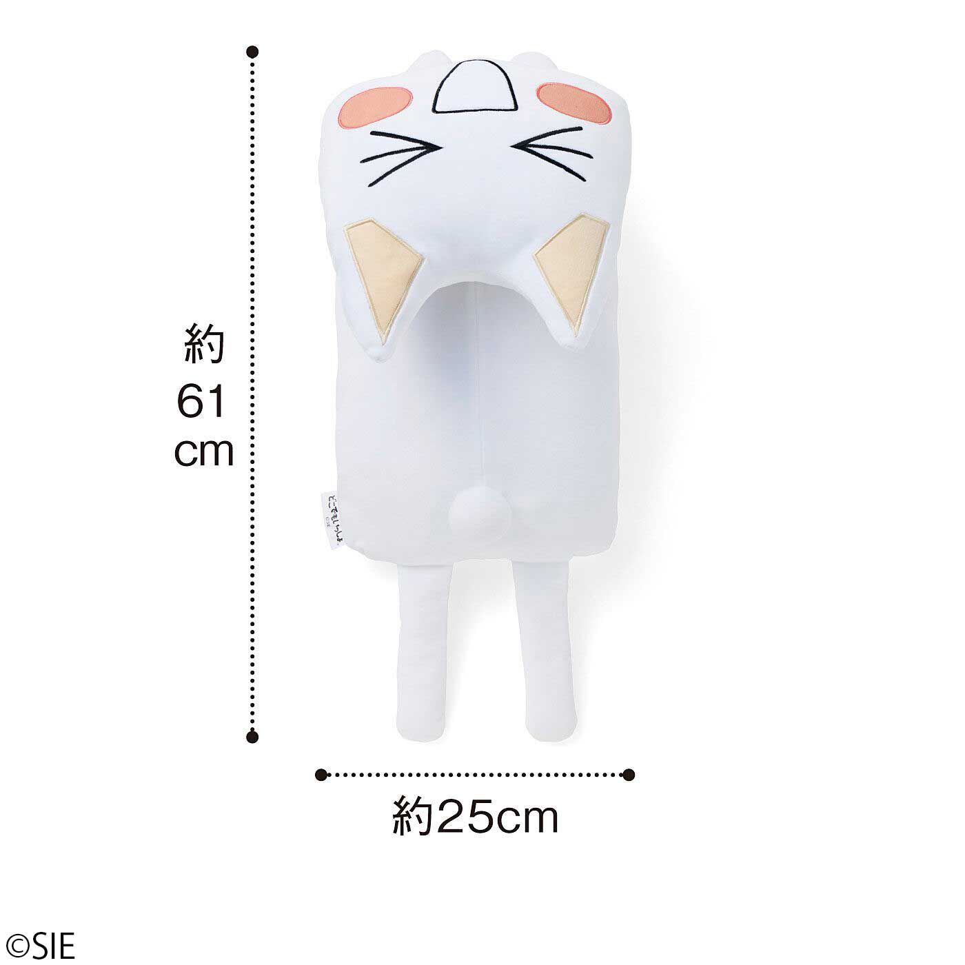 どこでもいっしょ×猫部 トロたちのもちもちクッションの会｜猫部