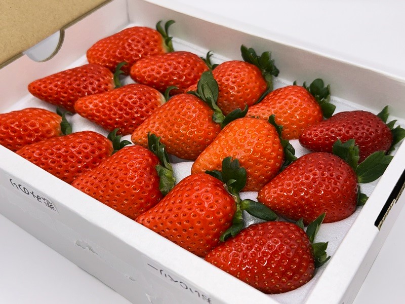 Inakakara - Farm to Table - 山梨県産 窪田さんの完熟いちご くだもの