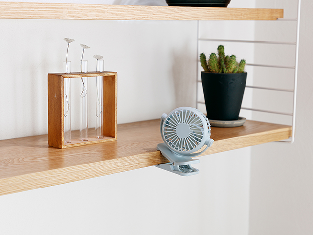 sinoise PF & CF ファンデーション セット Product | シナリー株式会社