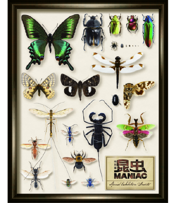 グッズ情報 | 特別展「昆虫 MANIAC」-名古屋市科学館特別展「昆虫