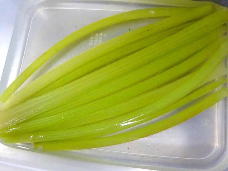 フキ(蕗)【かぎけんWEB】