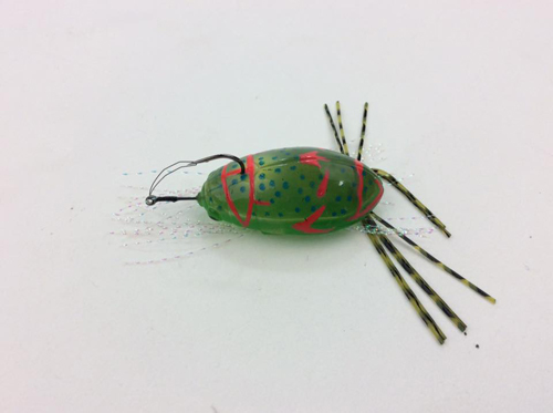 ゲンゴロウ Gengorou／カハラジャパン