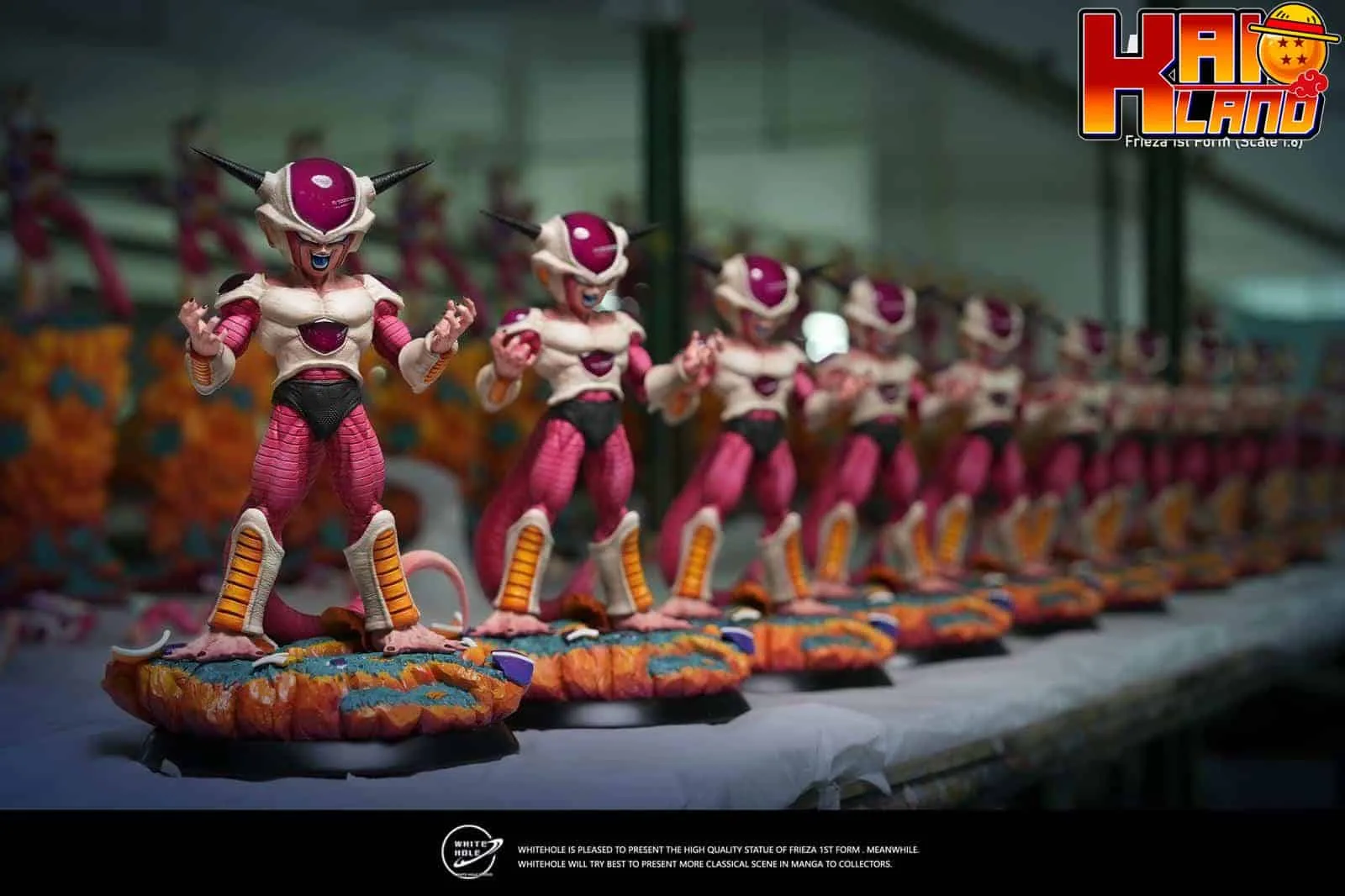 ホワイト ホール スタジオ - カイオランド